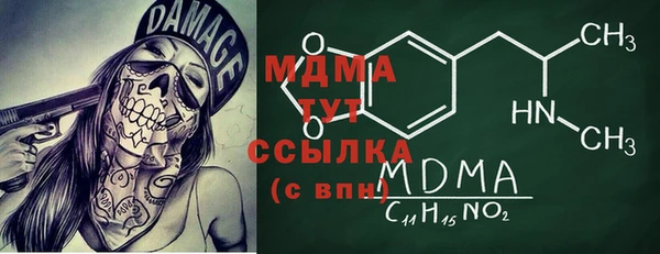 мдпв Инсар