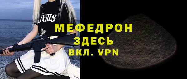 мдпв Инсар