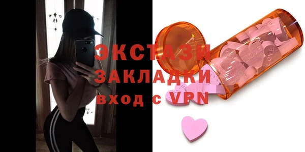 мдпв Инсар