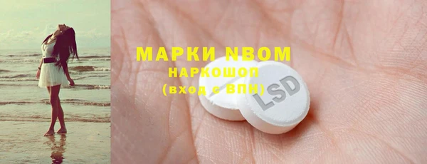 мдпв Инсар