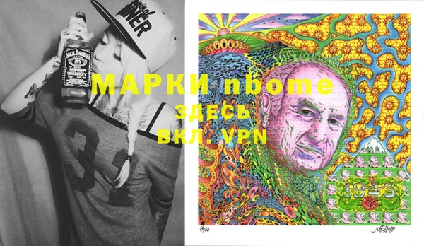 мдпв Инсар
