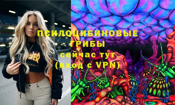 ПСИЛОЦИБИНОВЫЕ ГРИБЫ Туринск