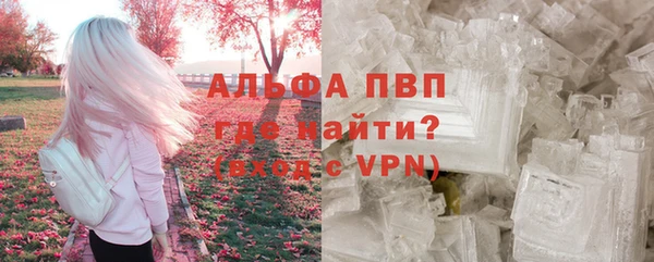 твердый Иннополис