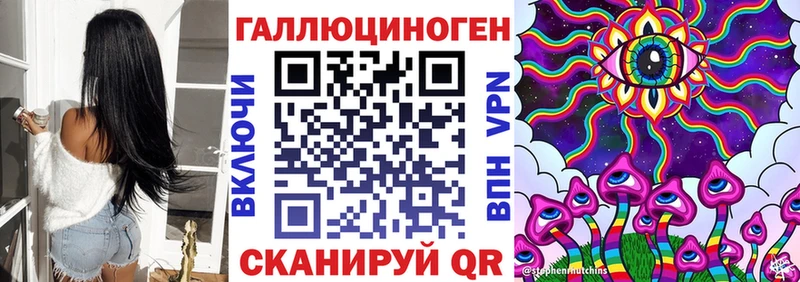 OMG онион  Дигора  Галлюциногенные грибы GOLDEN TEACHER 