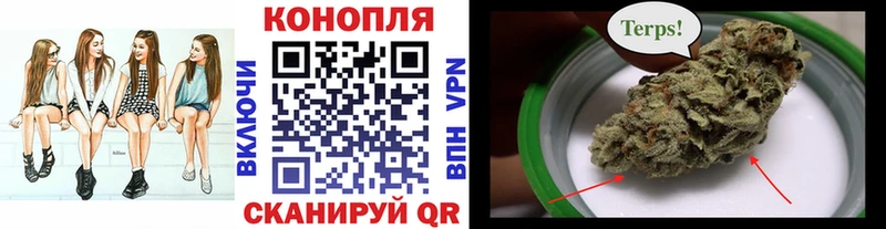 Шишки марихуана индика  Дигора 